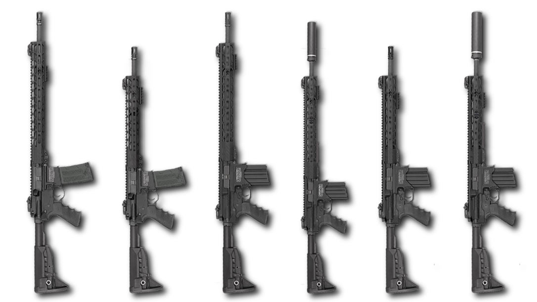 Rock River Arms Operator DMR (Designated Marksman Rifle) Series.