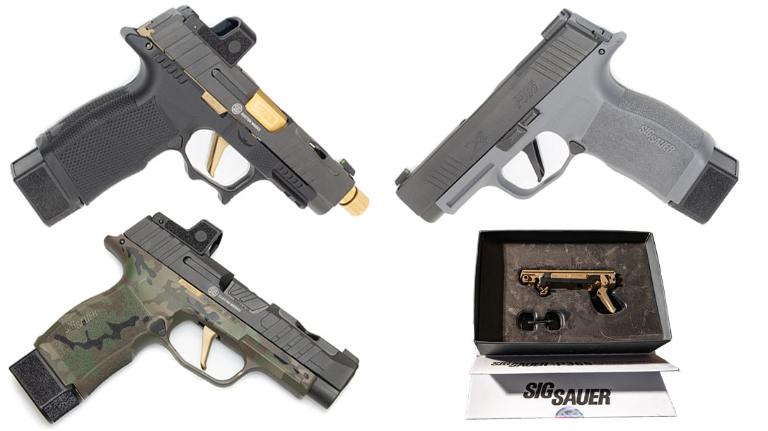 The Sig Sauer P365 Fire Control Unit (FCU).