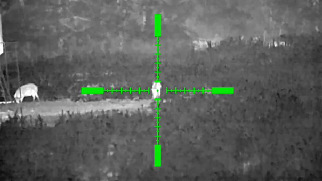 The view at night through the Sightmark Wraith Mini Thermal.