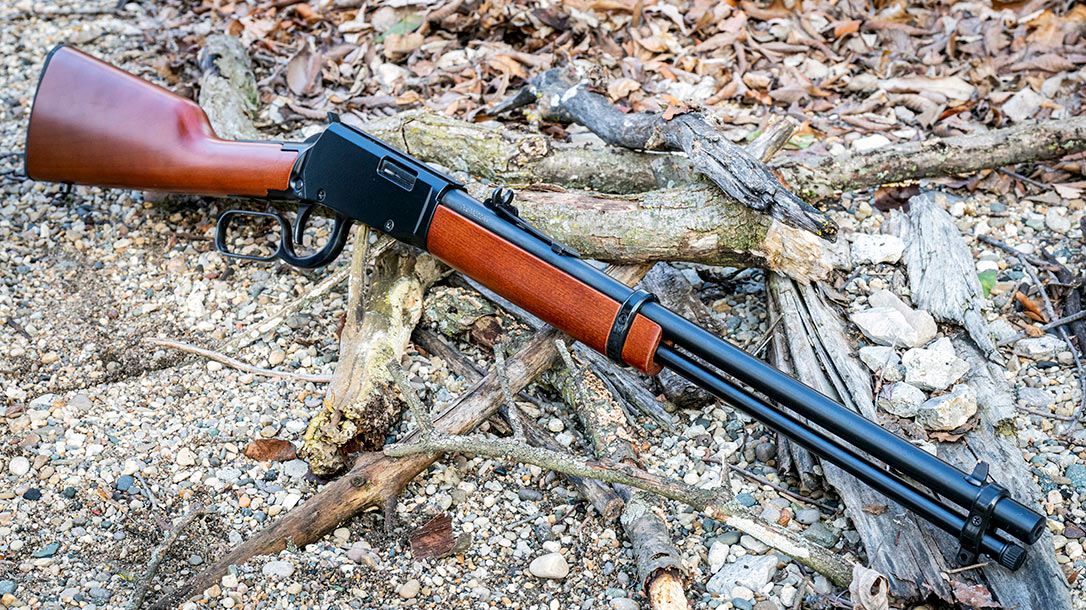 The Rossi Rio Bravo.