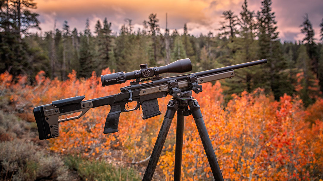 How to Choose a Rifle: 4 Considerations Before You Buy.