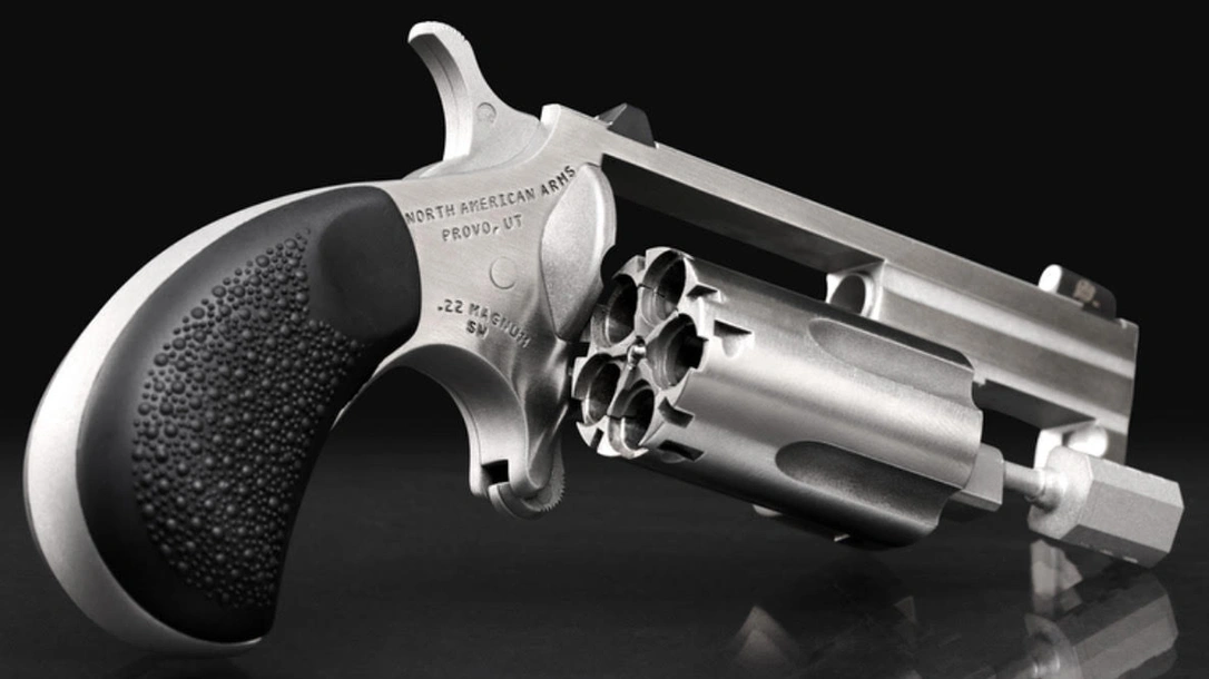 North American Arms Sentinel: .22 WMR Pocket Belly Blaster.