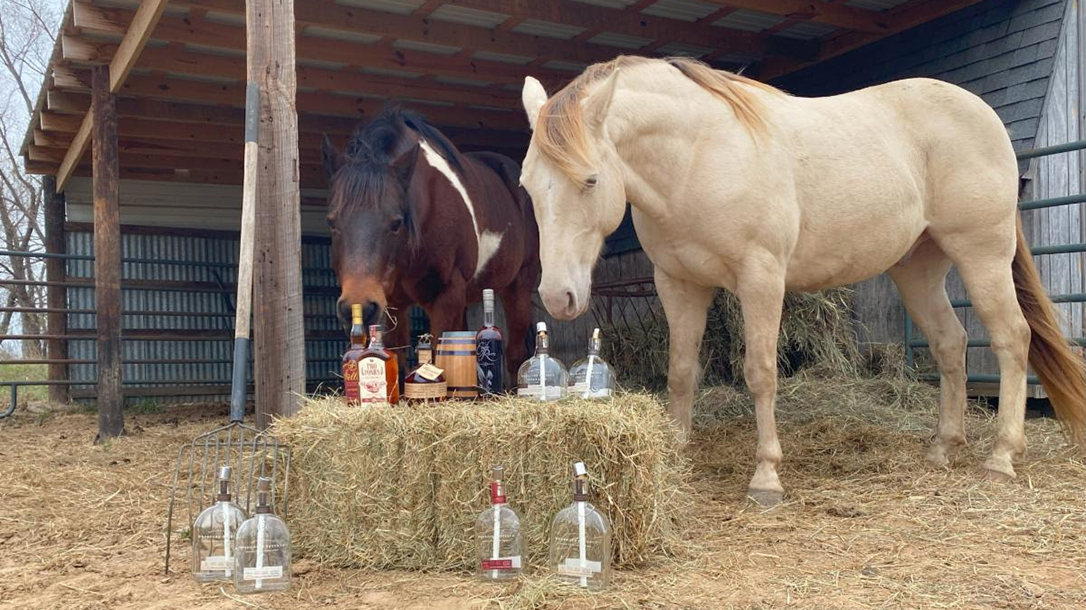 Swingin' D Horse Rescue