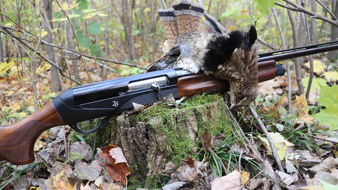 Getting started in bird hunting.