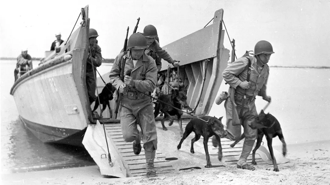 The U.S. War Dogs Association supports dogs and handlers.