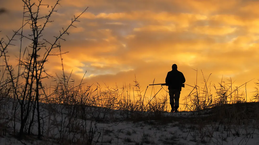 Budget hunting shotguns