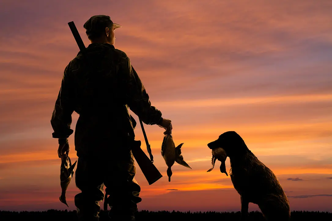 All about waterfowl hunting.