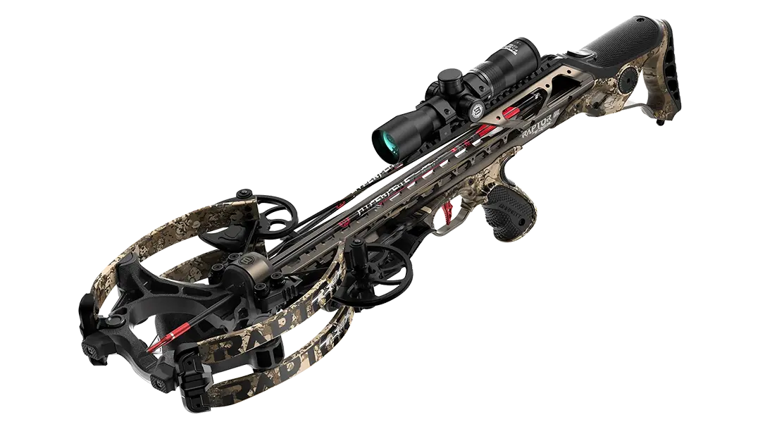 Barnett Hyper Raptor T-REX