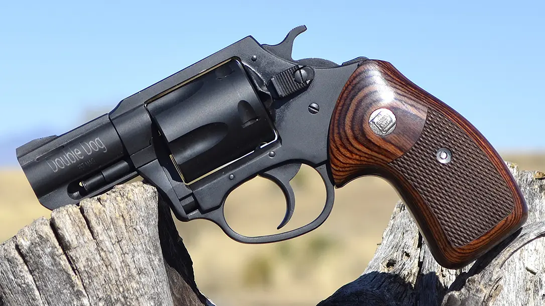 Charter Arms Double Dog: Revolver Reliability in Three Calibers.