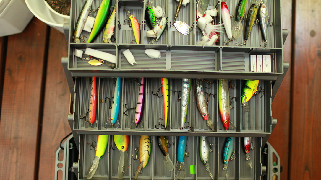 What Color Bait Works Best?