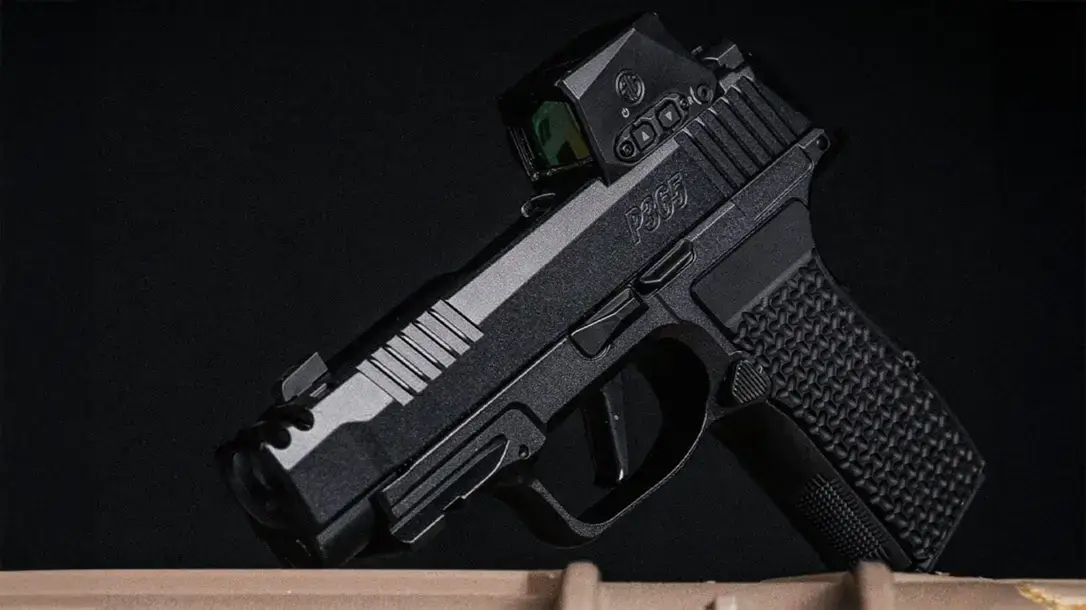 SIG Sauer P365-LUXE: Changing the .380 Subcompact Game.
