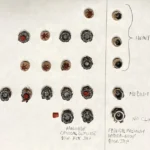 .380 ACP Meat Test: How Did the Defensive Round Do on Deer Meat?