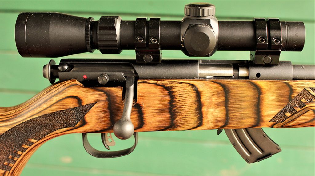 22 LR Rifle, scope, magazine, bolt, wood