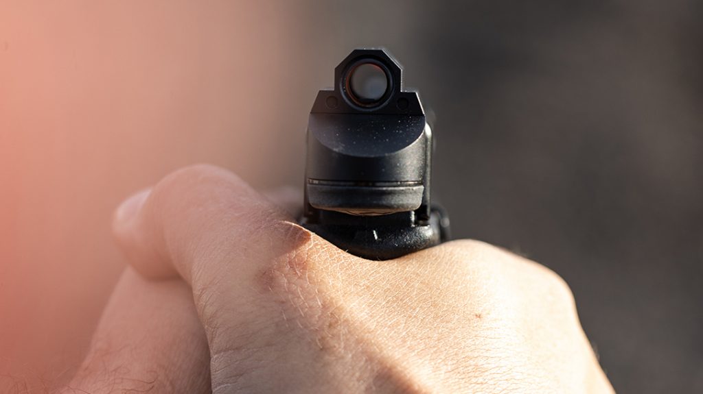 Leupold DeltaPoint Micro red dot sight review, tube
