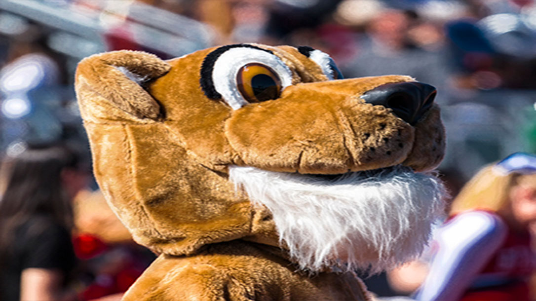 It's hard to argue that college football mascots are the biggest cheerleader of the whole university.