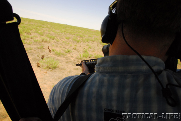LaRue Tactical PredatAR OBR Hog Hunting
