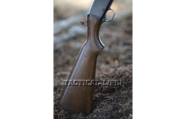 Though plain, straight-grain walnut was primarily used for the stocks of Model 141s, adding to its overall durability in the woods.
