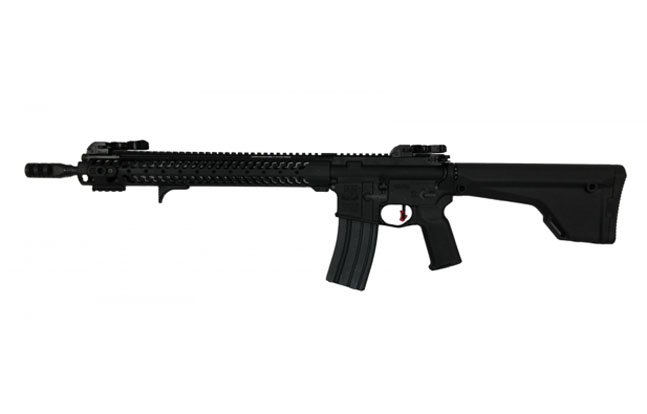 Top 25 AR Rifles For 2014 | Adams Arms COR Ultra Lite with Diamondhead D-45 Sights