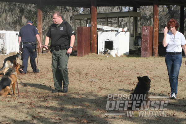 preparing your future K9 bodyguard to protect you.