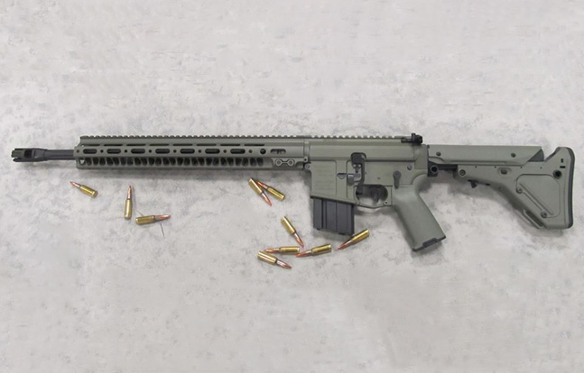 Precision Firearms Arion Type 1 6.5mm Grendel Rifle