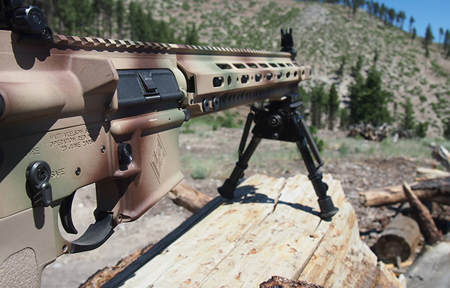 Axelson Tactical AXE Special Purpose Rifle focus