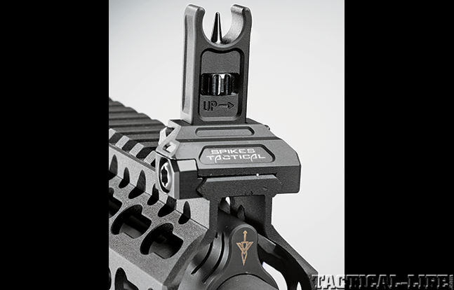 Custom AR BG2015 sights