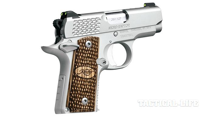 Compact Backup Handguns 2015 Kimber Micro Raptor .380