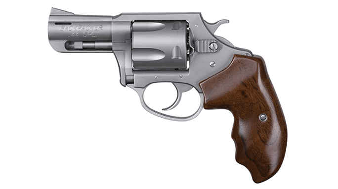 New Pistols 2015 Charter Arms Backpacker