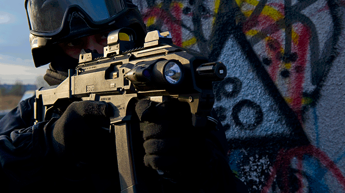 Top 33 Rifles 2015 Accurate CZ Scorpion EVO 3