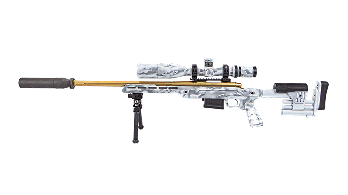 Remington Model 700 Stainless 5R Rifle solo