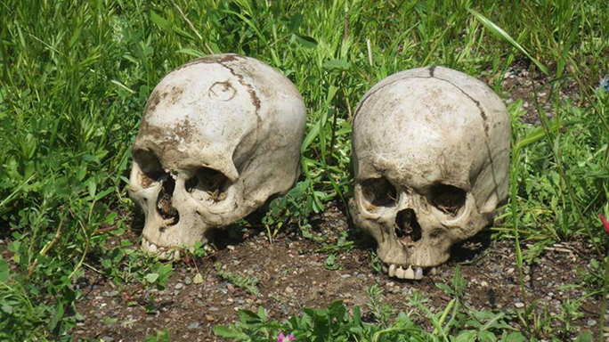 Mosul Medic Nik Frey skulls