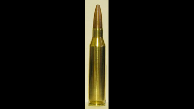 .260 Remington ar-10 ammo