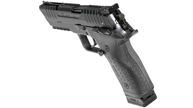 Arex Rex Alpha pistol rear sight