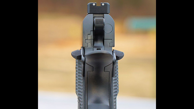 carolina arms group Privateer Carry Commander pistol sight