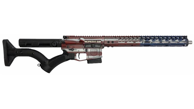 Dark Storm DS-15 Signature Series freedom flag rifle featureless right profile