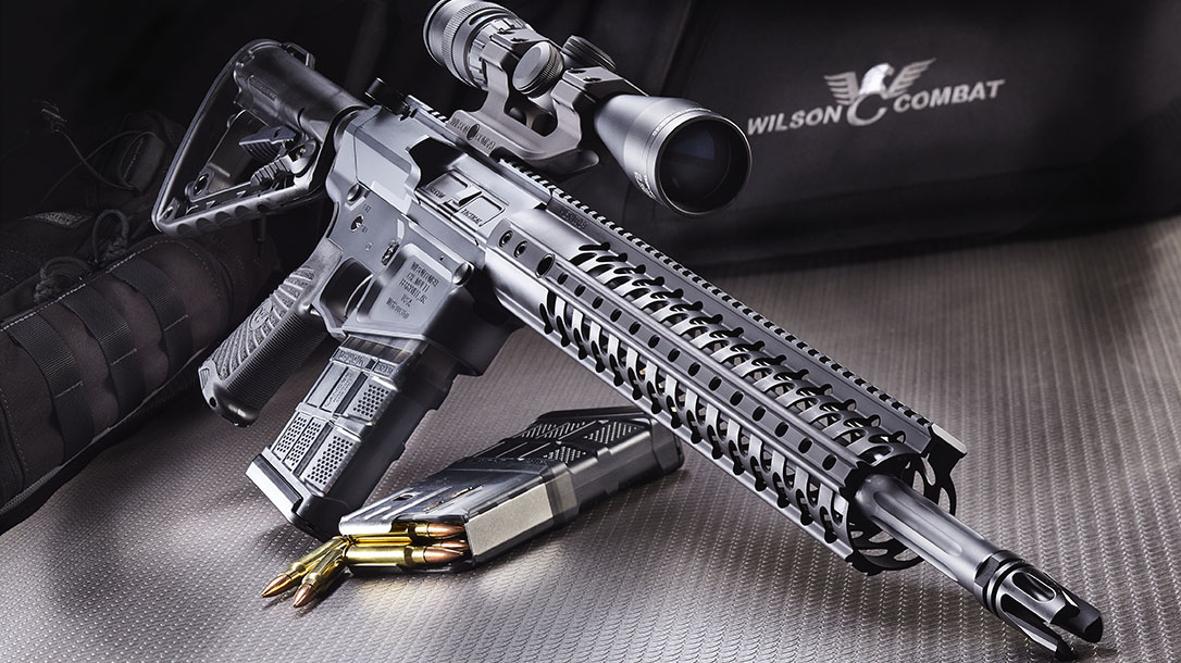 Diverse Firearm Calibers .308 rifles