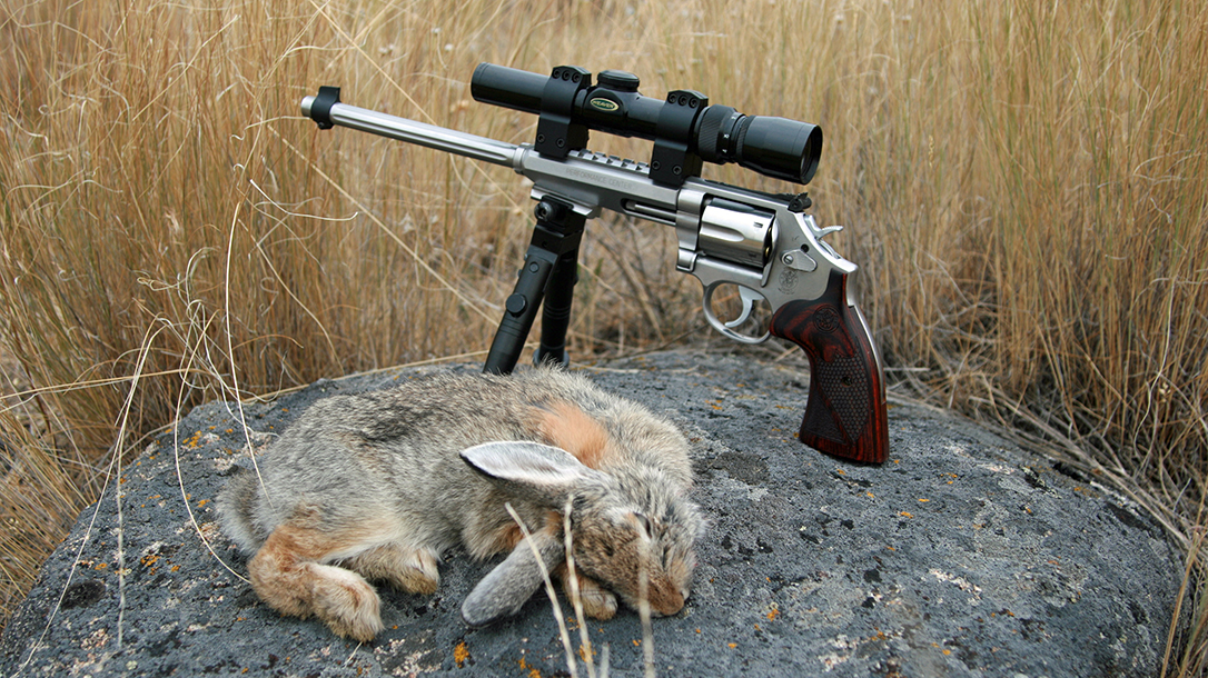 smith wesson model 647 varminter revolver rabbit