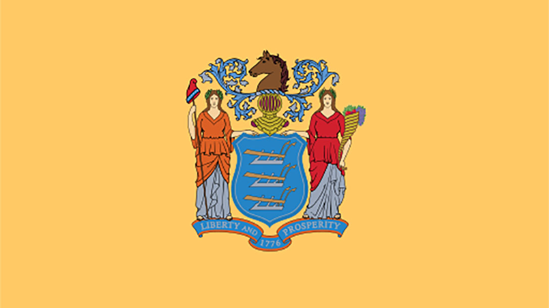 new jersey state flag army veteran