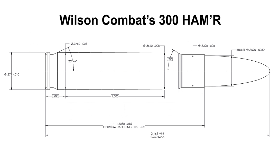 Wilson Combat 300 HAM'R cartridge, breakdown, ammo