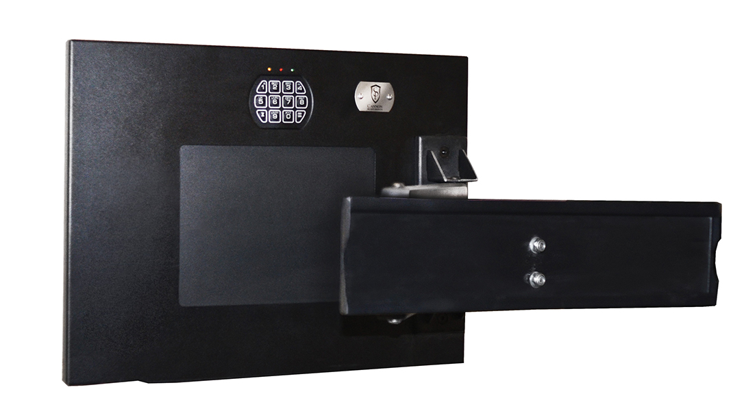 gun storage devices, Cannon TV Mount Wall Safe