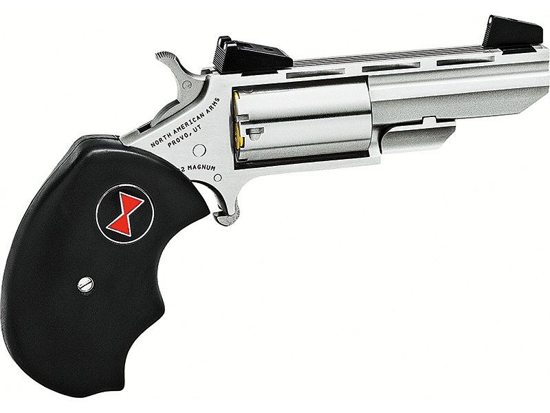 Best Backcountry handguns NAA Black Widow pistol