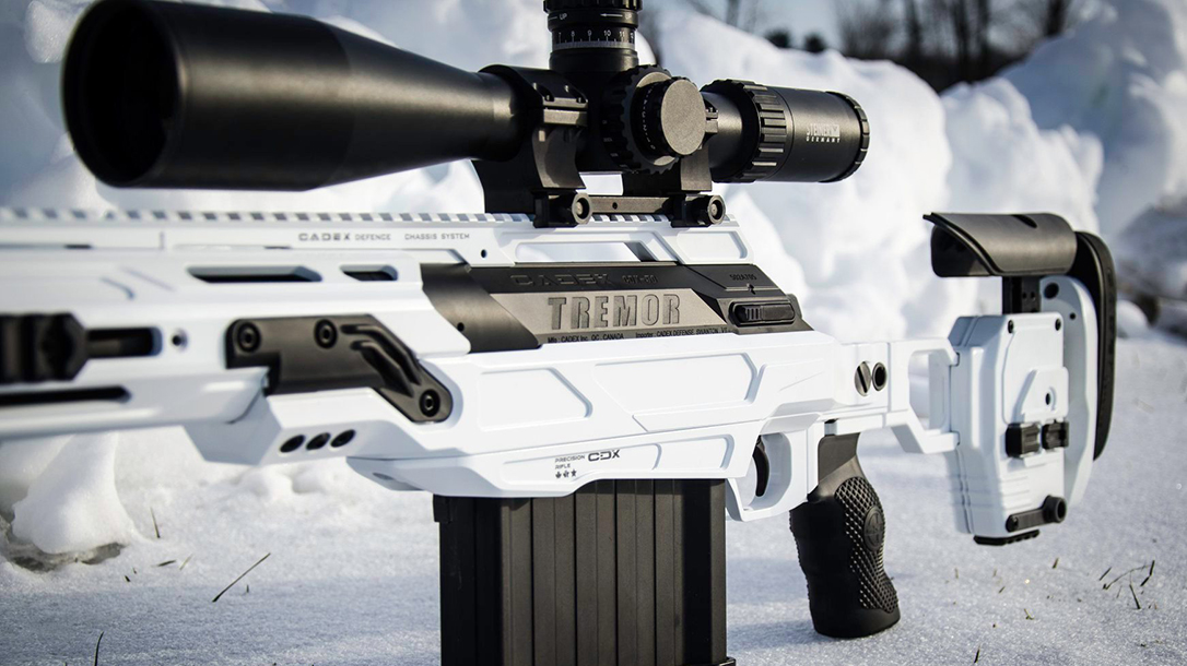 Stormtrooper White cerakote, bmg rifle, snow