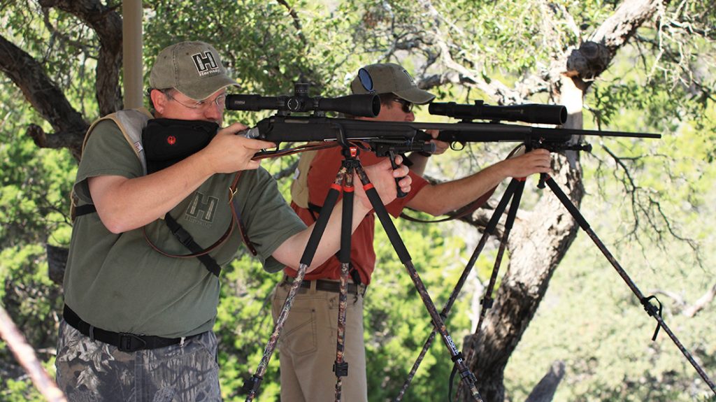 Ruger American Rifle 308, review, testing