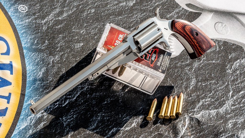 .22 Magnum mini revolver review, ammo