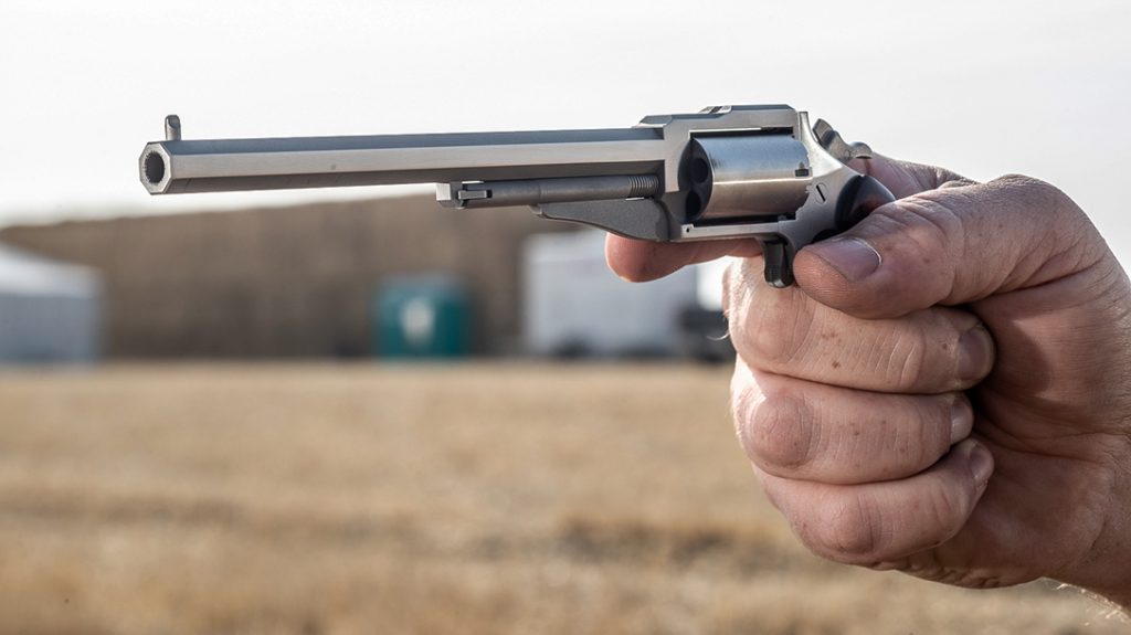 NAA Earl Hogleg mini revolver, 22 Magnum, review, testing