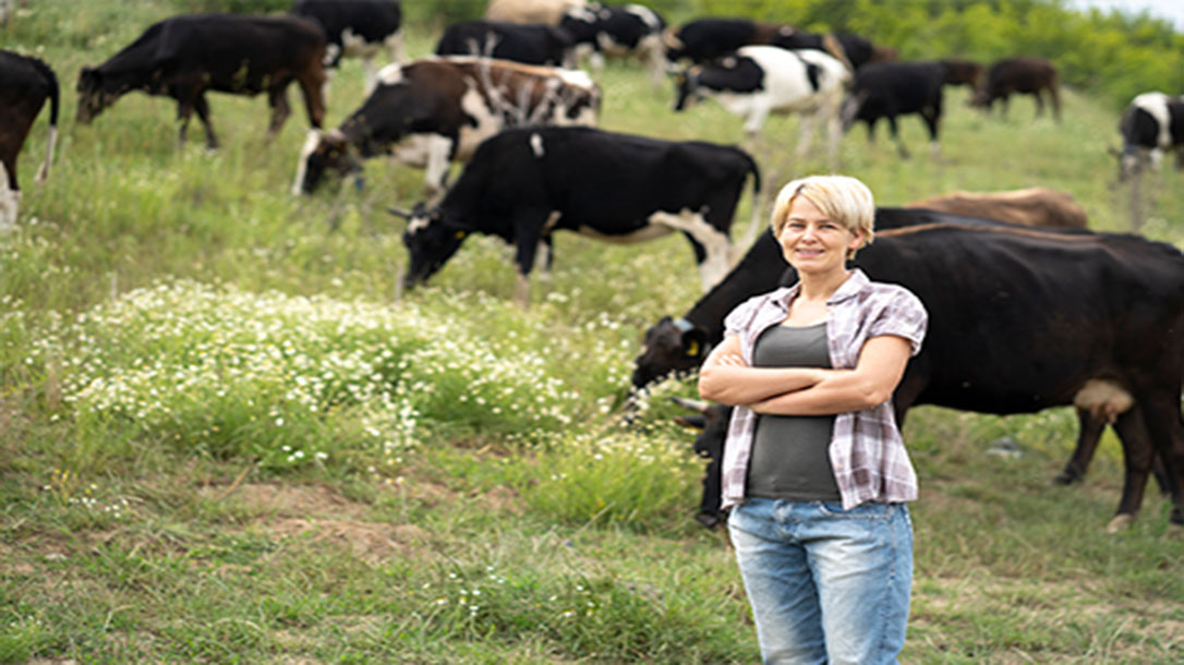 Ranchers and consumers free of the middleman.
