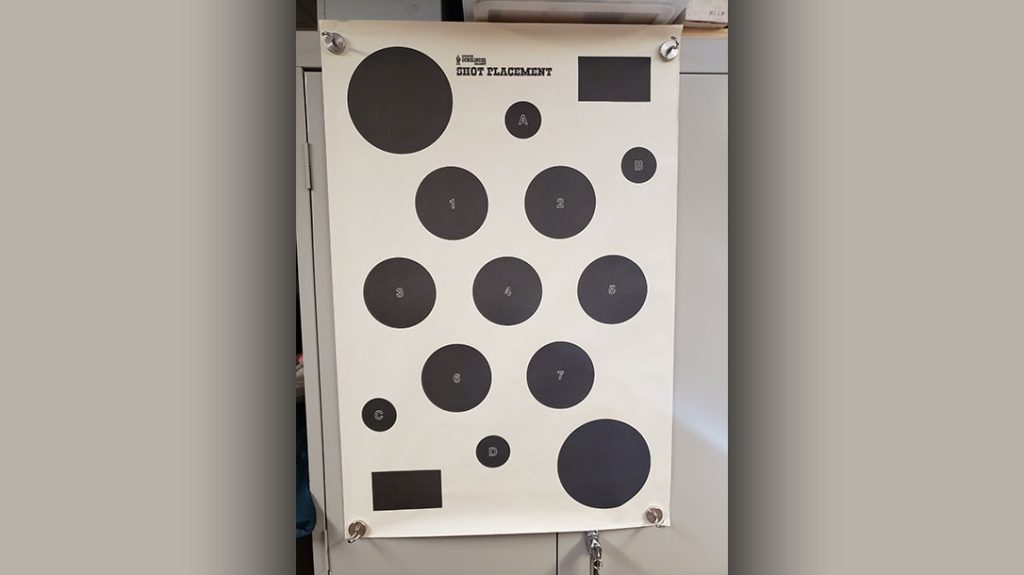 The author set up a Shot Placement Target from Advanced Gunslinger Industries in his basement.