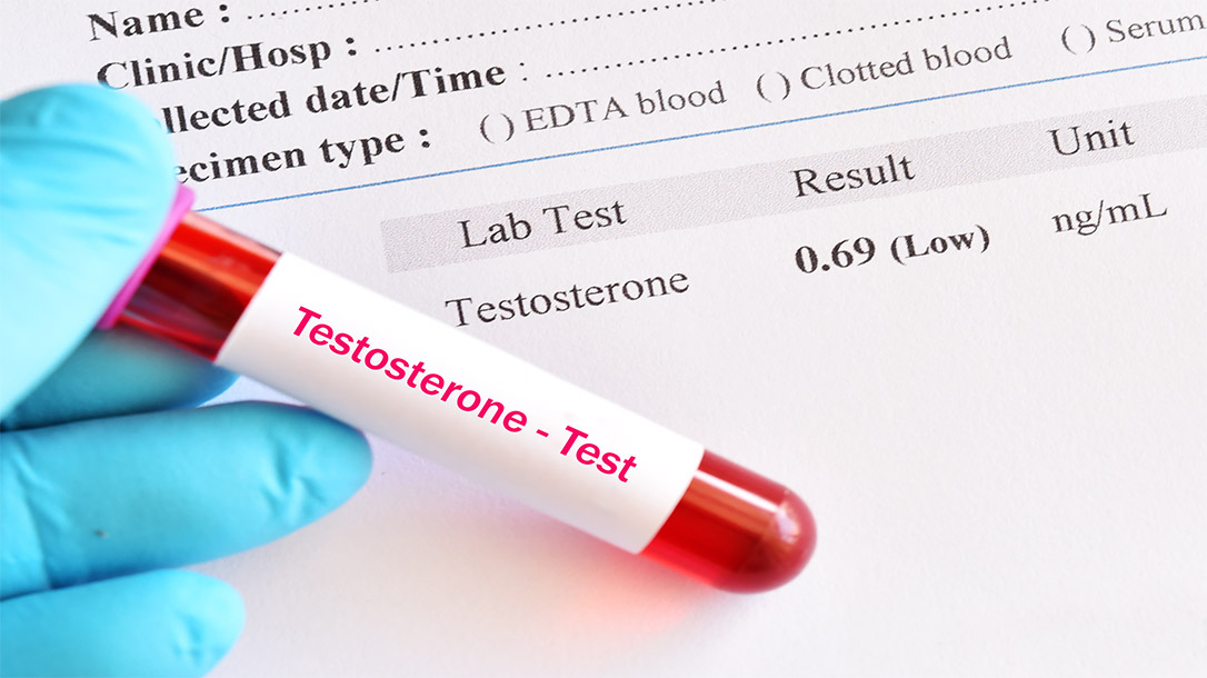 Learn how to raise your testosterone levels the natural way with these tips from Skillset Magazine.