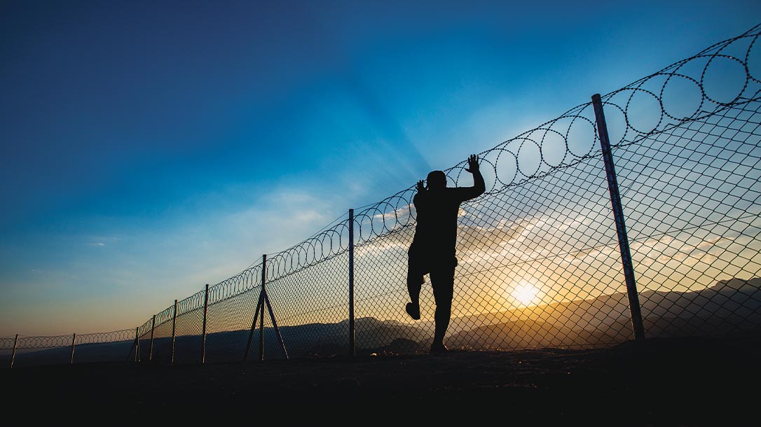 Taking the time to devise a plan and carrying it out, for even a moment of freedom, is not easy. Escape attempts can and often do go awry, and there is danger for all involved.
