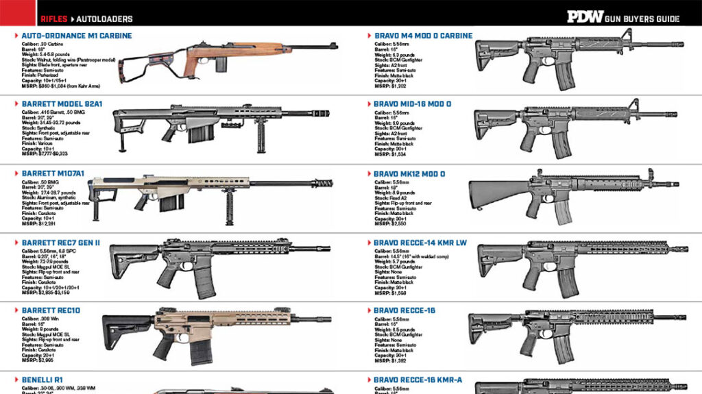 Autoloader rifles buyer's guide.
